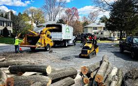 Matheny, CA Tree Care Services Company