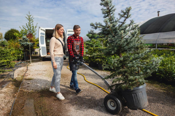 Best Artificial Turf Installation  in Matheny, CA